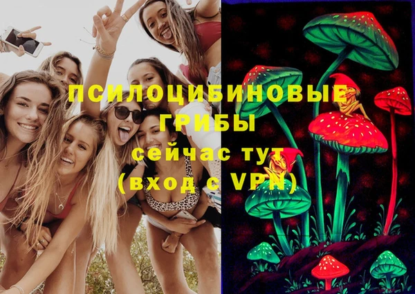 винт Алексеевка