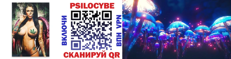 blacksprut как войти  Поронайск  Псилоцибиновые грибы Psilocybe 